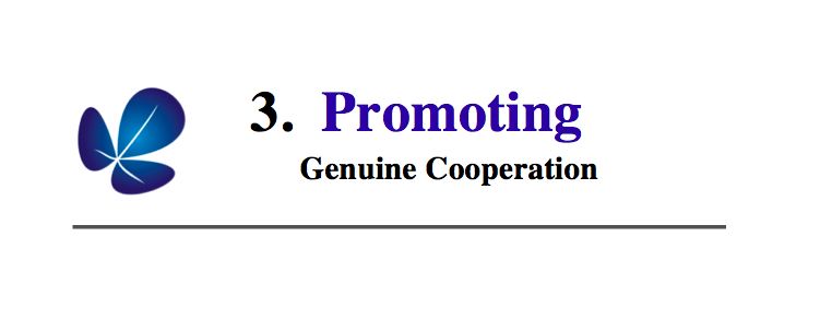 3. Promoting Genuine Collaboration